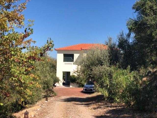 Vila Kyparissia De Wandelboom Vrises  Exteriér fotografie