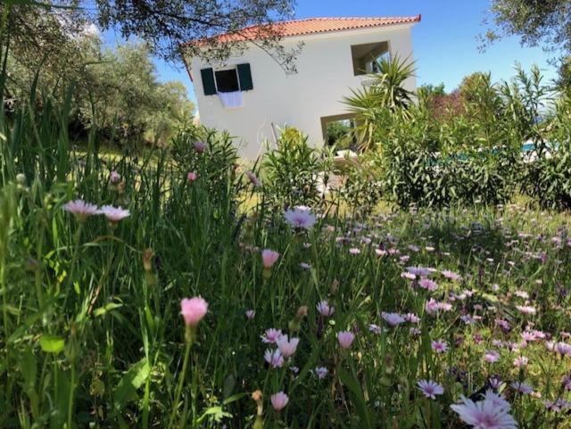 Vila Kyparissia De Wandelboom Vrises  Exteriér fotografie