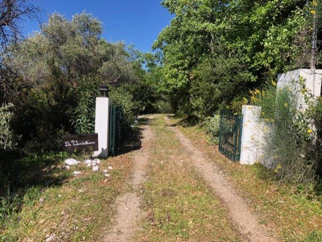 Vila Kyparissia De Wandelboom Vrises  Exteriér fotografie