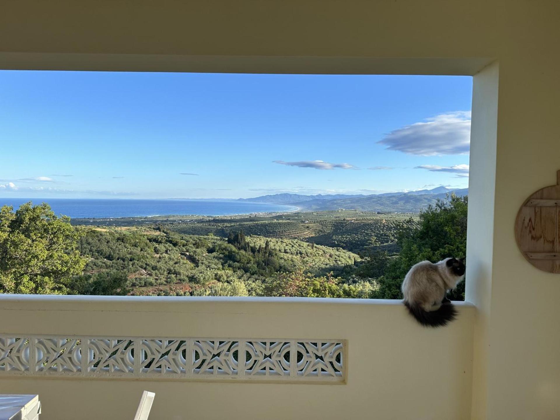 Vila Kyparissia De Wandelboom Vrises  Exteriér fotografie