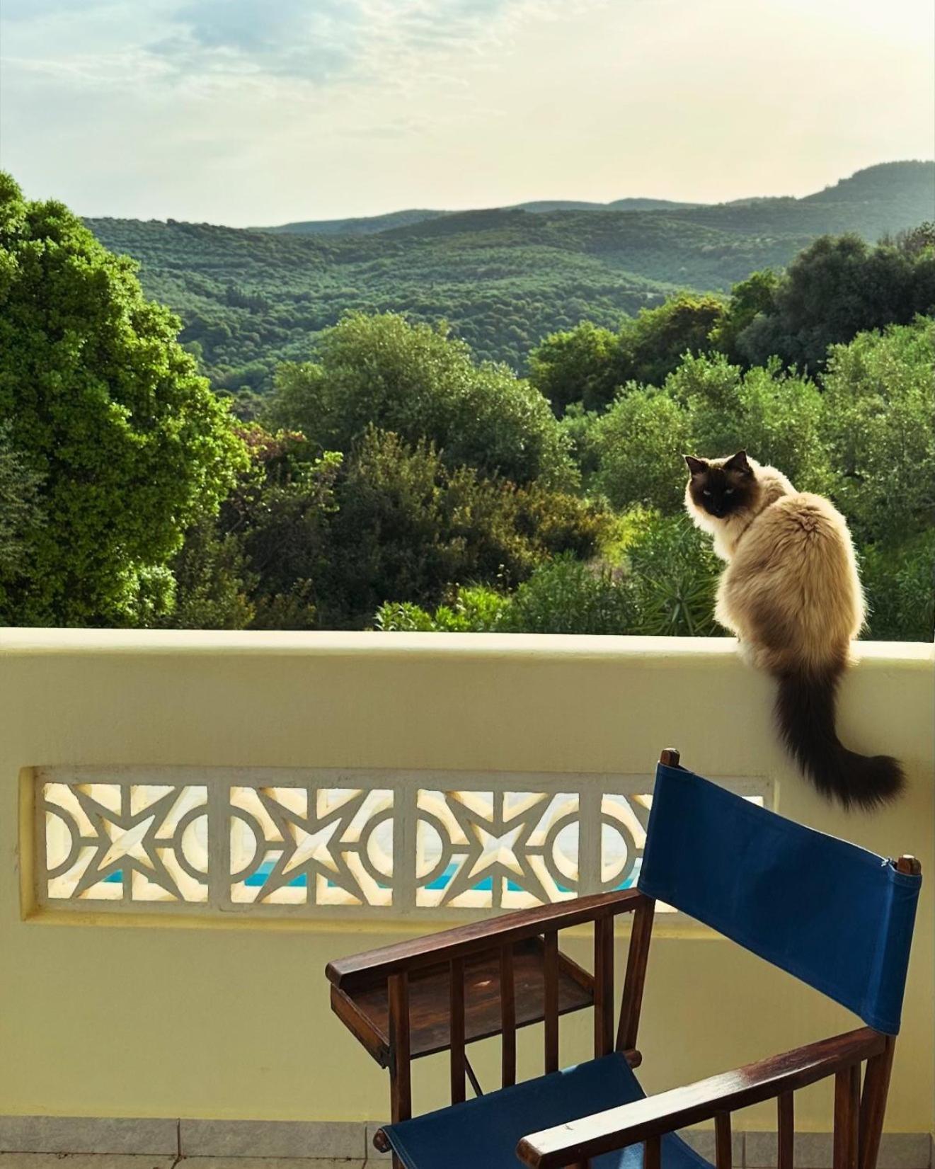 Vila Kyparissia De Wandelboom Vrises  Exteriér fotografie